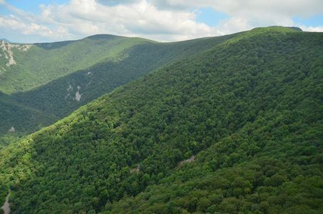 Romsilva a achiziţionat o pădure de peste 4.000 de hectare în judeţul Neamţ, tranzacţie de 111,83 milioane lei. Este cea mai mare achiziţie de pădure realizată până acum în numele statului român