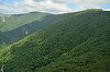 Romsilva a achiziţionat o pădure de peste 4.000 de hectare în judeţul Neamţ, tranzacţie de 111,83 milioane lei. Este cea mai mare achiziţie de pădure realizată până acum în numele statului român