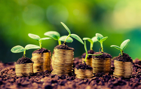 Agenţia pentru Finanţarea Investiţiilor Rurale a efectuat plăţi de peste 100 de milioane de euro în conturile fermierilor, în ultimele două zile, pentru mediu, climă şi bunăstarea animalelor