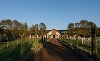 Wild Hills, primul country club corporate retreat de lângă Cluj-Napoca, dezvoltat pe locul fostei Herghelii de la Jucu, va fi deschis oficial pe 29 mai, în urma unei investiţii de 8 milioane de euro 