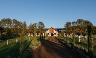 Wild Hills, primul country club corporate retreat de lângă Cluj-Napoca, dezvoltat pe locul fostei Herghelii de la Jucu, va fi deschis oficial pe 29 mai, în urma unei investiţii de 8 milioane de euro