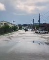 UNSAR: Cea mai mare daună CASCO achitată anul trecut, pentru un autovehicul afectat în urma unei inundaţii, a depăşit 670.000 lei. Valoarea totală a despăgubirilor plătite anul trecut în baza poliţelor CASCO a depăşit 2,3 miliarde lei