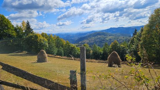 INS: Sosirile înregistrate în structurile de primire turistică au însumat 3,371 milioane persoane, în primele patru luni. 18,5% din turişti au fost străini, cei mai mulţi din Italia, Germania şi Israel
