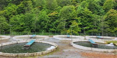 Ministerul Agriculturii anunţă fonduri de aproximativ 53 de milioane de euro pentru acvacultori şi procesatori de produse pescăreşti şi de acvacultură şi lansează două apeluri de cereri de finanţare 
