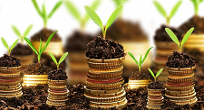 Agenţia de Plăţi şi Intervenţie pentru Agricultură a început plata a peste 60 milioane euro pentru peste 43.500 de fermieri, plăţi pentru Sprijinul Cuplat – Campania 2024

