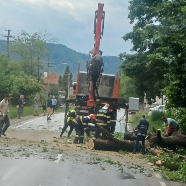 Asiguratorii membri UNSAR au plătit, între 2019-2024, despăgubiri de 128 milioane lei pentru pagube provocate de furtuni