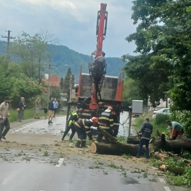 Asiguratorii membri UNSAR au plătit, între 2019-2024, despăgubiri de 128 milioane lei pentru pagube provocate de furtuni