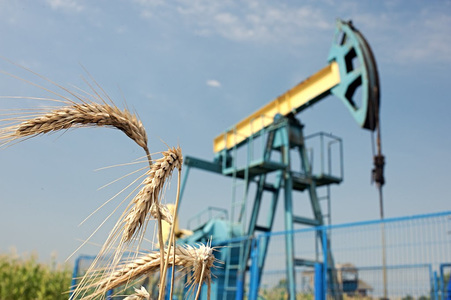 OMV Petrom anunţă că a făcut o nouă descoperire de gaze naturale în Spineni, lângă Craiova