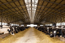 DN Agrar şi BSOG Energy semnează contractele de dezvoltare pentru o unitate de producţie de biometan în Alba, investiţie estimată la 30 de milioane de euro