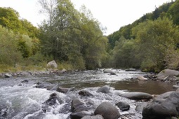 Curtea de Apel Cluj a suspendat o hotărâre de guvern care permitea defrişările din Parcul Naţional Călimani pentru Hidrocentrala Răstoliţa/ Decizia poate fi atacată cu recurs/ Ce spunea fostul ministru al Energiei Sebastian Burduja