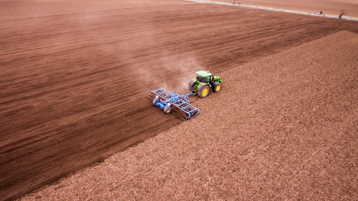 INS: În anul 2024, valoarea producţiei ramurii agricole a scăzut cu 4,3%, la 100,5 miliarde lei