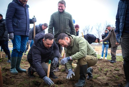 Fostul ministru al Mediului: Constat cu dezamăgire că pădurile sunt primele pe lista de tăieri / Mircea Fechet, apel către actuala conducere, în condiţiile în care pierdem în fiecare minut 50 mp prin deşertificare: Deşertificarea nu ia pauză!

