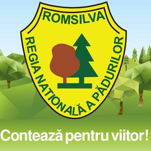 Romsilva caută director pentru un mandat de cinci luni / Candidaturile se depun până în 18 august / Candidaţii trebuie să aibă studii superioare, să fie inginer silvic cu o anumită gradaţie şi să aibă experienţă în management

