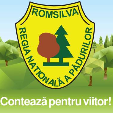 Romsilva caută director pentru un mandat de cinci luni / Candidaturile se depun până în 18 august / Candidaţii trebuie să aibă studii superioare, să fie inginer silvic cu o anumită gradaţie şi să aibă experienţă în management

