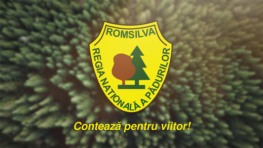 Romsilva are un nou director general provizoriu/ Este vorba despre fostul director al Direcţiei Regenerare-Dezvoltare Jean Vişan