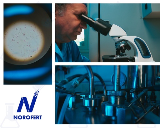 Cifra de afaceri a Norofert, producător de inputuri organice, a scăzut în primul semestru cu aproape 10%, la 19 milioane lei