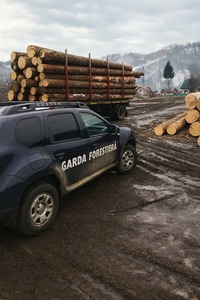 Ministerul Mediului reia concursurile pentru conducerea a trei Gărzi Forestiere - Braşov, Focşani şi Bucureşti / Diana Buzoianu: Avem nevoie de oameni competenţi, care să facă din această misiune o prioritate naţională