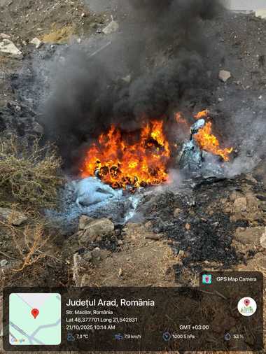 Sesizare penală formulată de Garda de Mediu, după ce într-o groapă din judeţul Arad au fost incendiate cadavrele unor animale