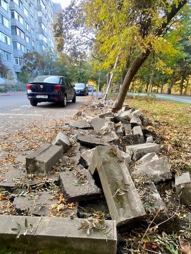 Primăria Sector 3, amendată de Garda de Mediu pentru lucrări neautorizate în Parcul IOR / Comisarii au găsit gardul metalic care separa parcarea de zona verde a parcului îndepărtat, dar şi asfaltul decopertat - FOTO

