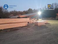 Operaţiunea Jupiter 4 – Mai multe dosare care vizează tăieri ilegale de arbori şi transport de lemne fără documente, intrumentate / Mii de arbori tăiaţi ilegal din Parcul Natural Munţii Maramureşului / Prejudiciu de sute de mii de lei 