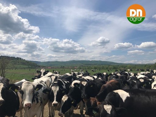 DN Agrar Group, cel mai mare producător de lapte de vacă din Europa, şi-a dublat profitul net în primele nouă luni, până la 43 milioane lei, şi a înregistrat o cifră de afaceri de 158 milioane lei, în creştere cu 25% 
