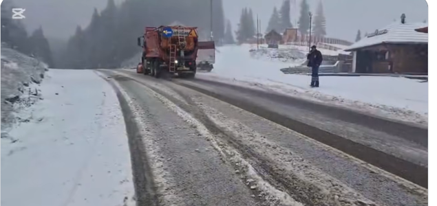 Ninge slab în zona de montană înaltă a judeţului Suceava - VIDEO
