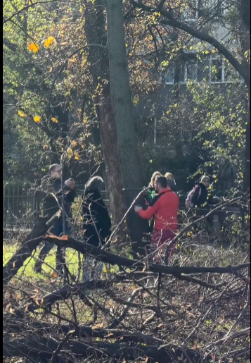 Lucian Judele, publicând imagini din zona retrocedată a Parcului IOR: Tăierile ilegale par întâmplări desprinse dintr-un film cu mafia din anii ’60–’70 / Parlamentul trebuie să decidă: este de partea mafiei drujbelor sau îi sprijină pe cetăţeni




