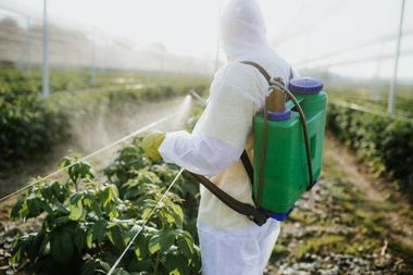 INS: În anul 2023 s-au folosit 3.992 tone fungicide şi 9.188 tone erbicide, sub formă lichidă, pentru protecţia plantelor/  86,8% din suprafaţa cultivată cu grâu a fost tratataă cu produse de protecţie a plantelor