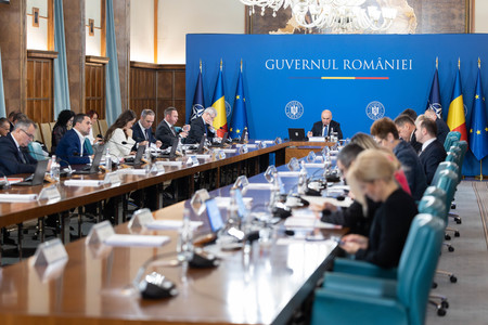 Guvernul a stabilit primele 17 companii care intră în procesul de reformă / Premierul a anunţat că acestea vor avea bugetele aprobate imediat după bugetul naţional / Care sunt firmele / Clasificarea companiilor

