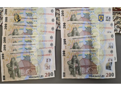 ANAF a suspendat activitatea unui operator economic pentru încasări nefiscalizate de peste 2,5 milioane lei/ Societatea presta servicii de cazare, alimentaţie publică, bar şi catering încasând banii în numerar/ Amendă de 20.000 de lei