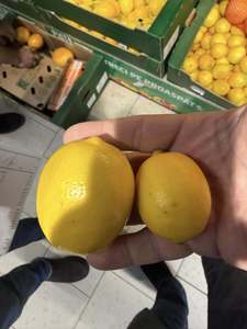 Director ANPC: Lǎmâile sub 45 mm diametru şi portocalele sub 60 mm diametru, considerate furaj animalier, în orice ţară civilizată / Suntem bătaia de joc a importatorilor de citrice dar şi al achizitorilor din marketuri!