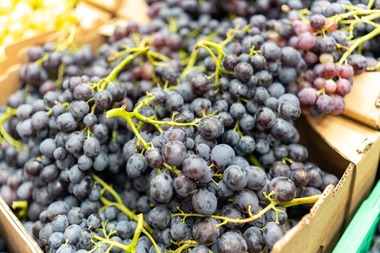 Ministerul Agriculturii lansează consultare publică pentru finanţarea investiţiilor în sectorul strugurilor de masa. Valoarea maximă a finanţării ajunge la 1 milion de euro/proiect