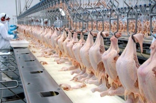 Florin Barbu: Am pus accent foarte mare pe partea de procesare / După trei ani de zile, România va deveni jucătorul numărul unu în sud-estul Europei ca procesator / Investiţiile la Ministerul Agriculturii au fost unele haotice / Ce exportă România