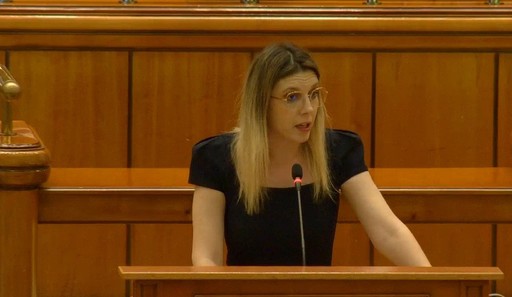 Diana Buzoianu: Bugetul Ministerului Mediului per total anul acesta a crescut / 12% este creşterea, aproximativ / 84% din buget este dedicat investiţiilor sau proiectelor similare investiţiilor