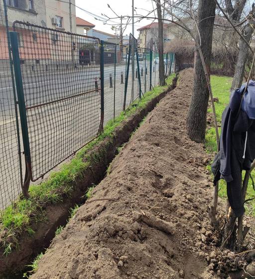 Muncitorii unei firme au intrat cu excavatorul în Parcul Carol pentru a face un branşament pentru o staţie de încărcare auto – Au afectat spaţiul verde şi au tăiat rădăcinile a şapte copaci / Primăria Bucureşti anunţă sancţiuni
