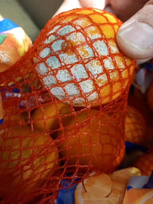 ANPC a verificat peste 1.700 de operatori economici în această săptămână şi a dat amenzi de aproape şapte milioane de lei / Printre nereguli, substanţe dezinfectante expirate, produse de cofetărie cu mucegai


