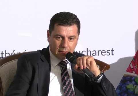 Secretar de stat Ministerul Agriculturii: Europa trebuie să se hotărască. Dacă vrea să respectăm reguli comune pe toate produsele agroalimentare care intră în piaţa unică europeană, atunci să respecte aceleaşi norme de producţie
