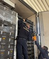 Giurgiu: Poliţiştii de frontieră au capturat peste şapte milioane de ţigarete ascunse într-un transport de citrice / Valoarea acestora este de două milioane de euro