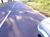 Atenţionare pentru şoferii care circulă în zona Rezervaţiei Biosferei Delta Dunării, unde ţestoasele se află în faza de depunere a pontelor şi traversează frecvent drumurile – Este recomandată oprirea în zone cu vegetaţie unde acestea se pot ascunde - FOT