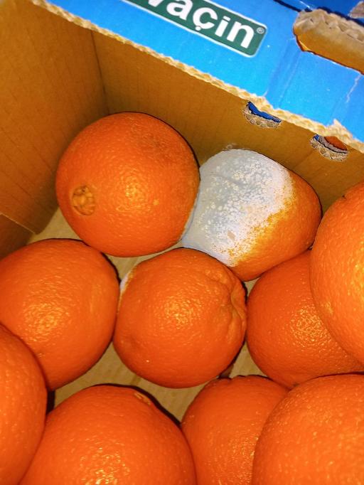 Comisarii ANPC au dat amenzi de peste 4,7 milioane de lei în urma controalelor din această săptămână / 11 unităţi au fost închise temporar / Au fost găsite alimente expirate şi produse vegetale cu mucegai 
