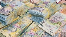 INS: Venituri totale medii lunare, în termeni nominali, de 9399 lei la nivel de gospodărie, în 2025, în creştere faţă de 2024. Produsele alimentare şi băuturile nealcoolice, cea mai mare pondere în cheltuieli, educaţia, la polul opus