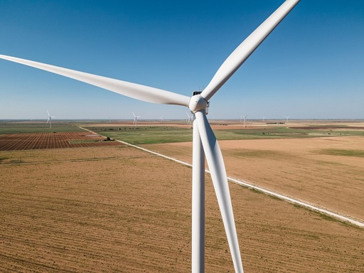 Şeful EDP: Guvernele naţionale, nu Bruxelles-ul, încetinesc investiţiile în energia regenerabilă