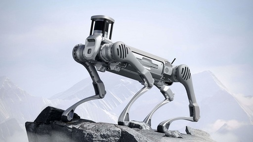 Producătorul chinez de roboţi Unitree ar putea fi evaluat la peste 7,4 miliarde de dolari după listarea la bursă