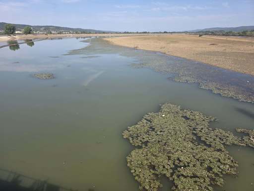 Peşti morţi în râul Jiu, în zona Turceni – Analizele preliminare arată un nivel scăzut al oxigenului dizolvat, unul dintre cei mai importanţi parametri pentru ecosistemele acvatice - FOTO