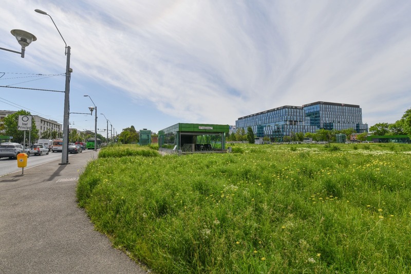 Acoperișuri verzi pe clădirile de birouri și pe spațiile comerciale și industriale, dar și parcări ecologice, începând de anul viitor, prin noul Cod al Urbanismului/ Scopul, orașe cu aer mai curat și rezistente la schimbările climatice