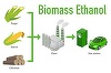 Producţia globală de biocombustibili ar putea creşte cu aproape 70% până în 2030; Presiuni tot mai mari asupra terenurilor şi preţurilor alimentelor