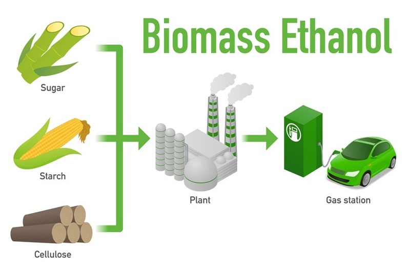 Producția globală de biocombustibili ar putea crește cu aproape 70% până în 2030; Presiuni tot mai mari asupra terenurilor și prețurilor alimentelor