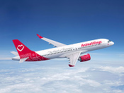 AnimaWings anunţă ”un proces de reorganizare judiciară”, din cauza problemelor tehnice repetate la nivelul flotei / Compania va opera zboruri doar cu cele două aeronave Airbus A320 disponibile / Se aşteaptă reprogramarea sau anularea unor zboruri