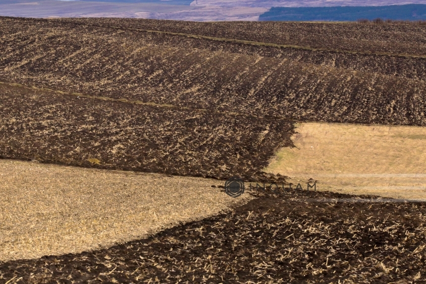 Peste 70 la sută din culturile agricole din judeţul Constanţa sunt afectate de secetă