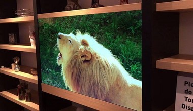 Televizorul "invizibil", ultima născocire Panasonic